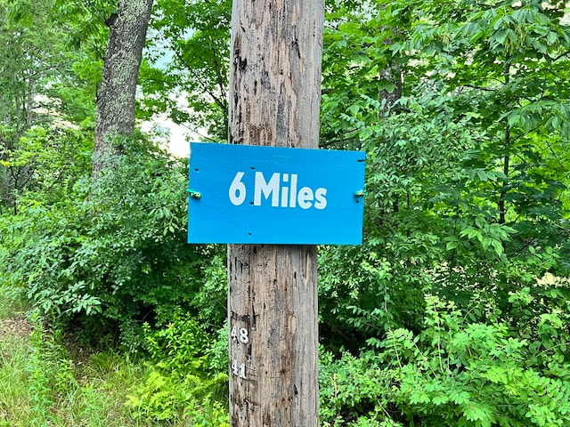 blue sign on tree in woods reading 6 miles